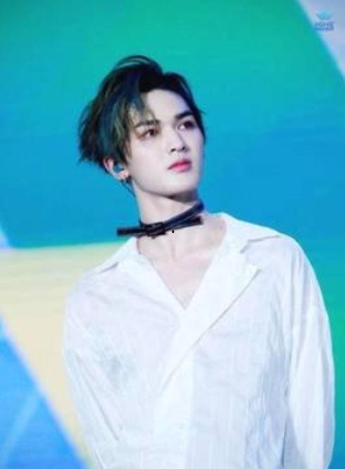 朱正廷娱乐圈发展