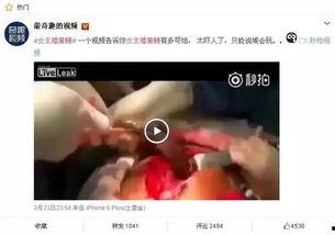 求黄鳝女主播完整视频,网络直播界的惊世之谜